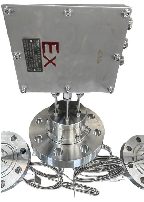 Multi-point Explosion-Proof Rtd Sensor Multi-point Explosion-Proof Rtd Sensor